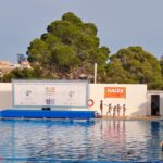 NACEX en el Campeonato Autonómico de Verano de Natación Artística de la Comunidad Valenciana